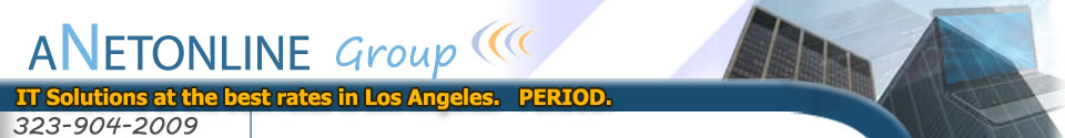 anetonline- it consulting, web design, los angeles